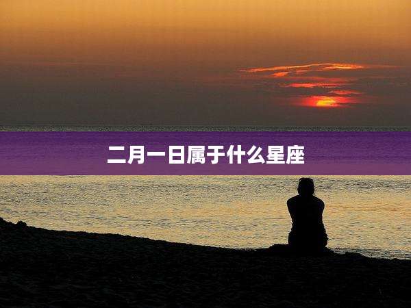 二月一日属于什么星座