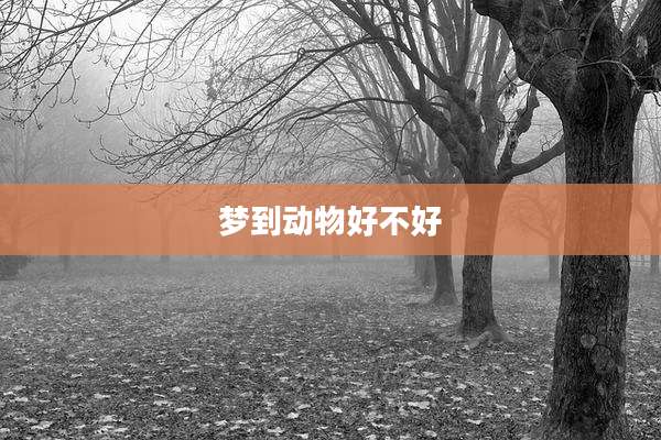 梦到动物好不好
