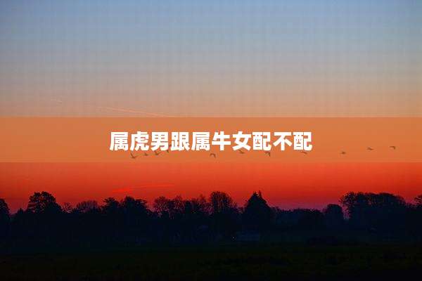 属虎男跟属牛女配不配