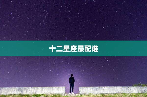 十二星座最配谁