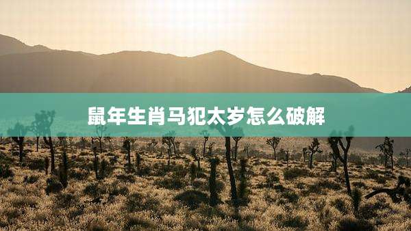鼠年生肖马犯太岁怎么破解