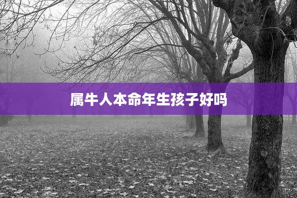 属牛人本命年生孩子好吗