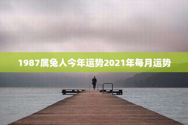 1987属兔人今年运势2021年每月运势