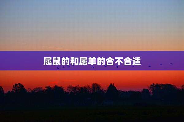 属鼠的和属羊的合不合适