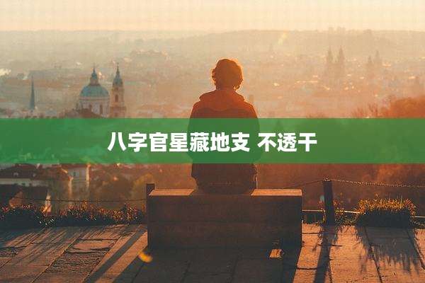 八字官星藏地支 不透干