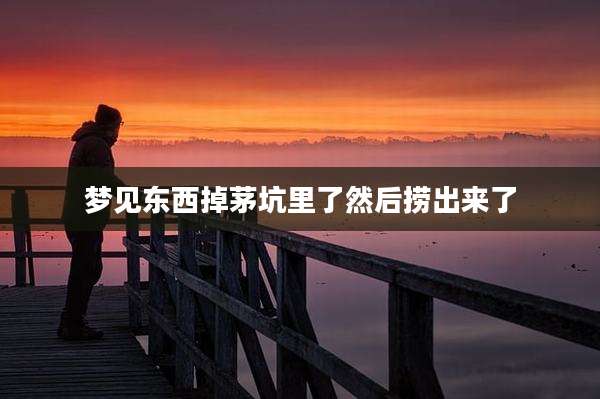 梦见东西掉茅坑里了然后捞出来了