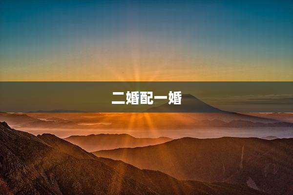二婚配一婚
