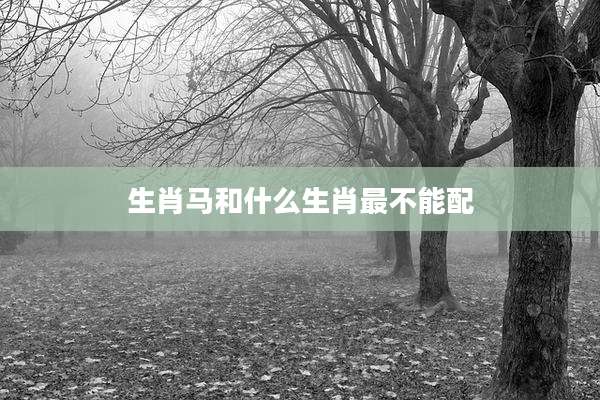 生肖马和什么生肖最不能配