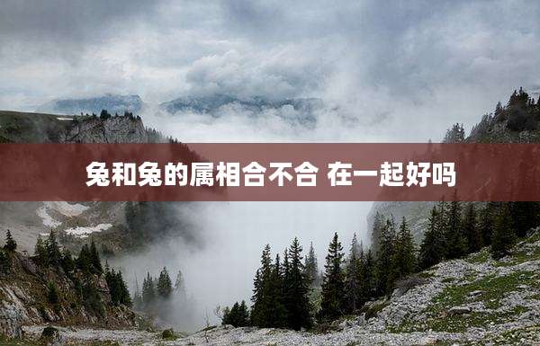 兔和兔的属相合不合 在一起好吗