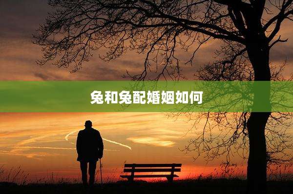 兔和兔配婚姻如何