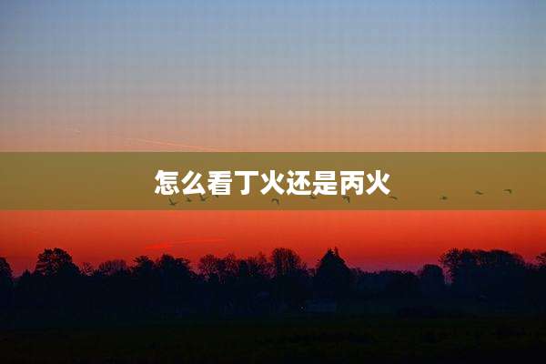 怎么看丁火还是丙火