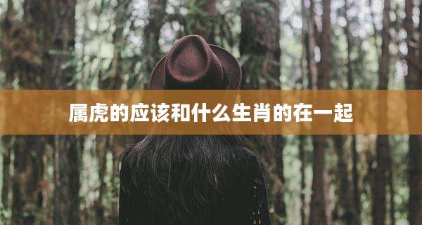 属虎的应该和什么生肖的在一起