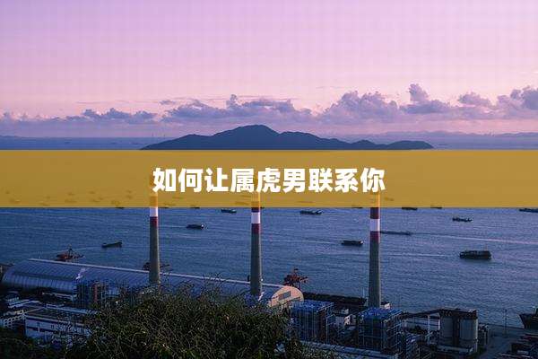 如何让属虎男联系你