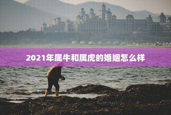 2021年属牛和属虎的婚姻怎么样