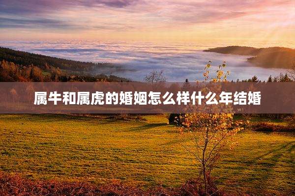 属牛和属虎的婚姻怎么样什么年结婚