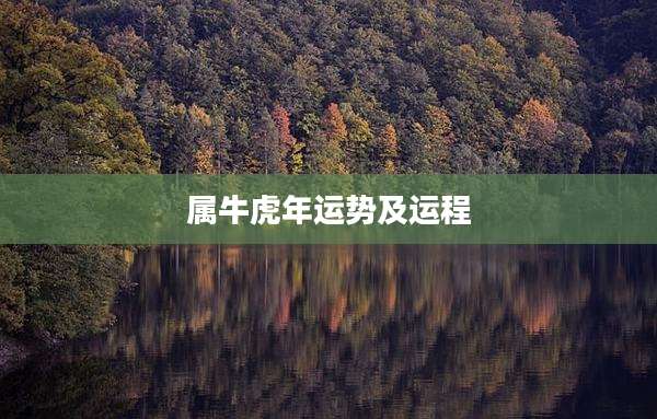 属牛虎年运势及运程