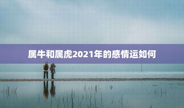 属牛和属虎2021年的感情运如何