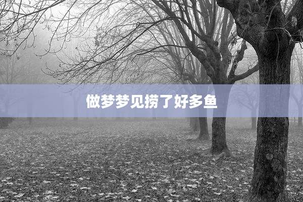 做梦梦见捞了好多鱼