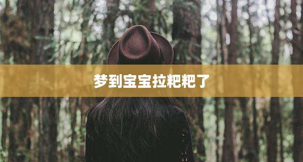 梦到宝宝拉粑粑了