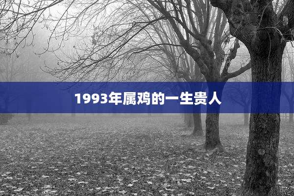 1993年属鸡的一生贵人