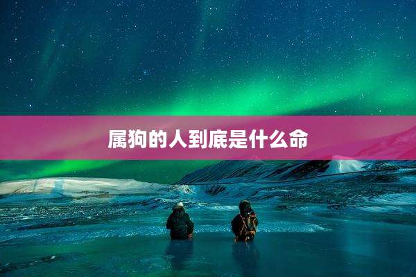 属狗的人到底是什么命