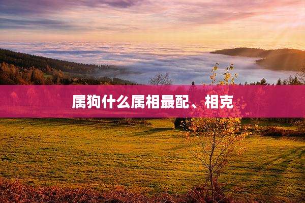 属狗什么属相最配、相克
