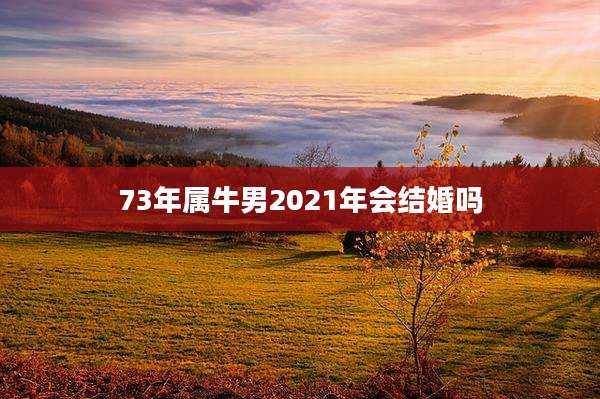 73年属牛男2021年会结婚吗