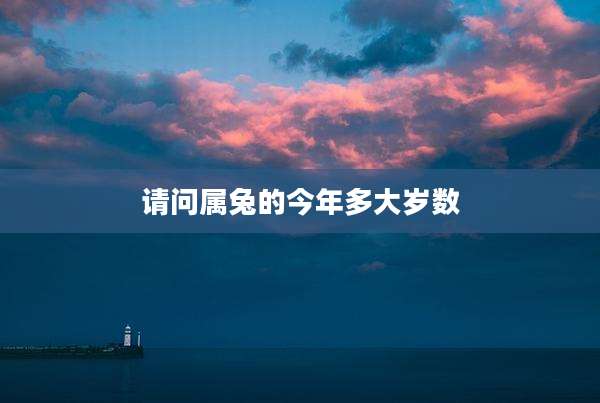 请问属兔的今年多大岁数