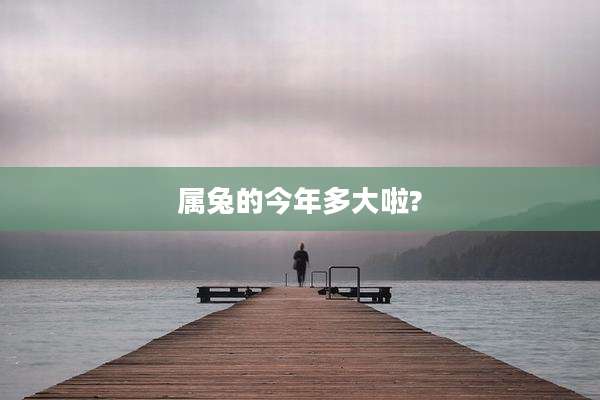 属兔的今年多大啦?