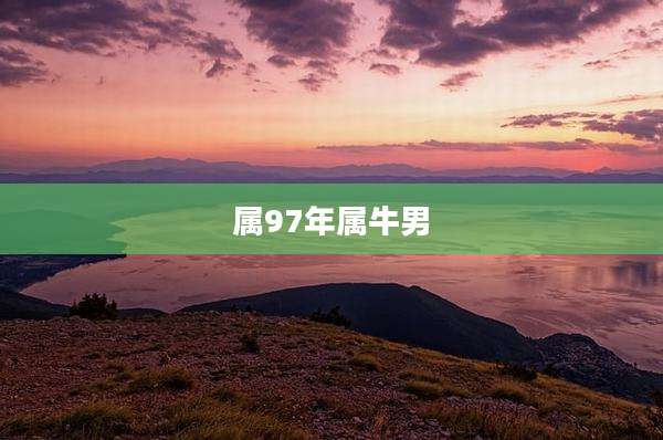 属97年属牛男