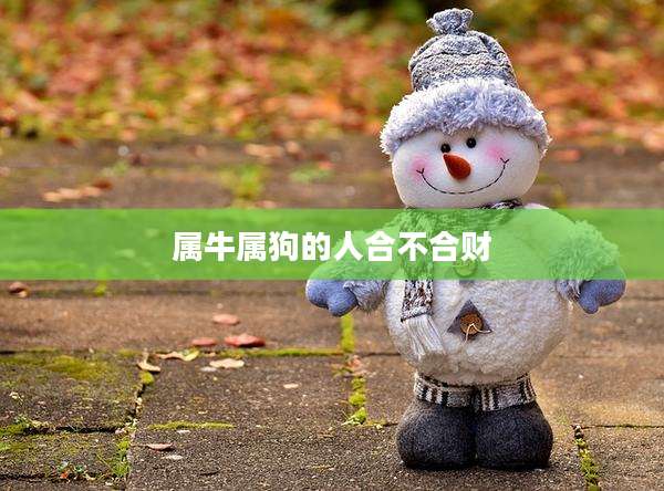属牛属狗的人合不合财