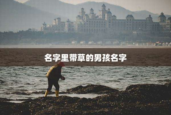 名字里带草的男孩名字