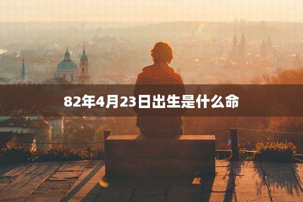 82年4月23日出生是什么命