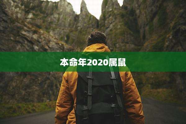 本命年2020属鼠