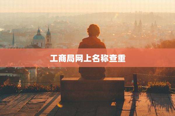 工商局网上名称查重