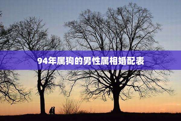 94年属狗的男性属相婚配表