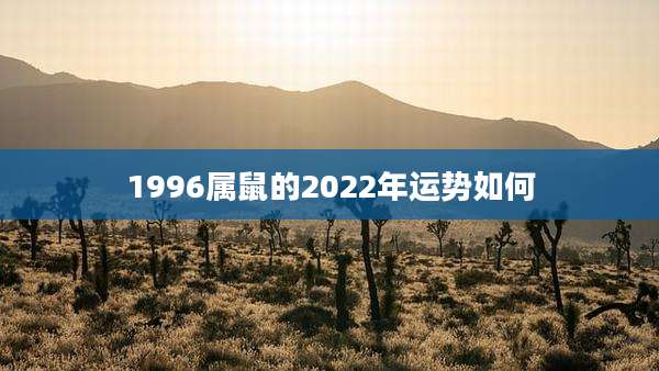 1996属鼠的2022年运势如何