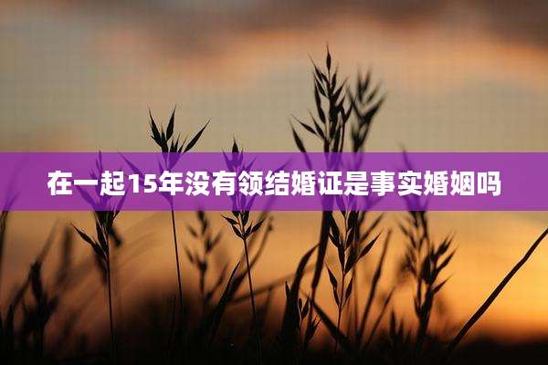 在一起15年没有领结婚证是事实婚姻吗