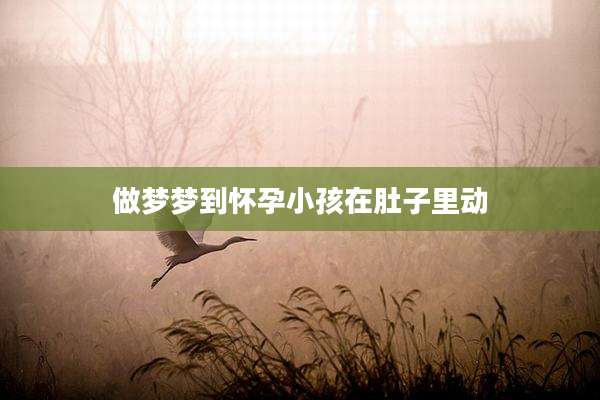 做梦梦到怀孕小孩在肚子里动
