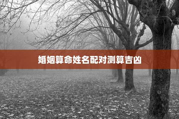 婚姻算命姓名配对测算吉凶