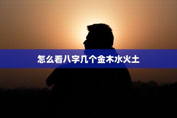 怎么看八字几个金木水火土