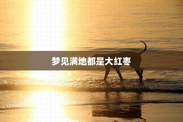 梦见满地都是大红枣