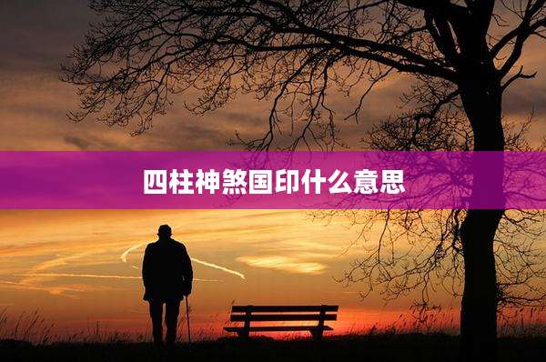 四柱神煞国印什么意思