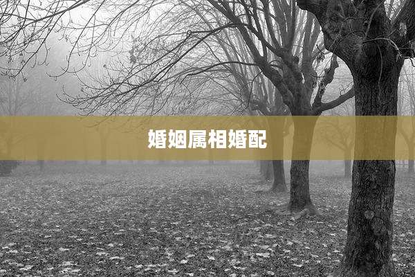 婚姻属相婚配