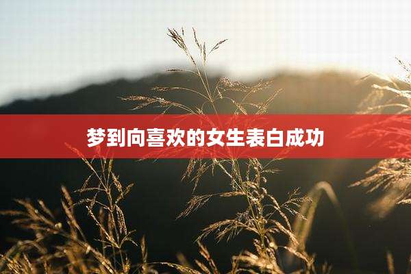 梦到向喜欢的女生表白成功