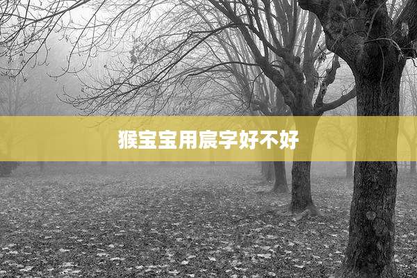 猴宝宝用宸字好不好