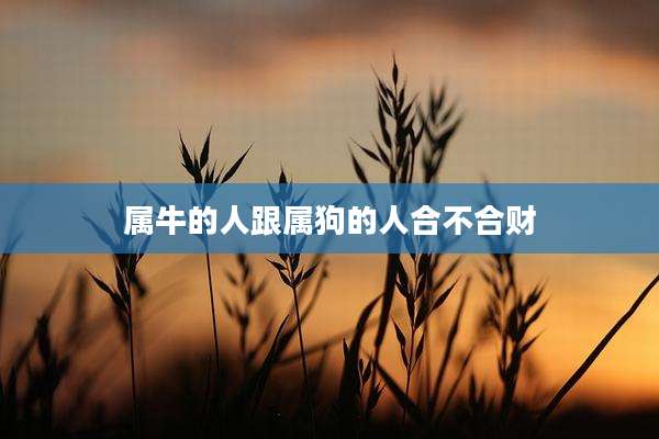 属牛的人跟属狗的人合不合财