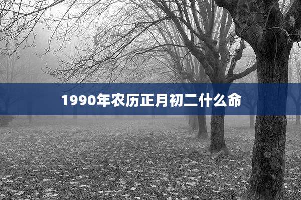 1990年农历正月初二什么命