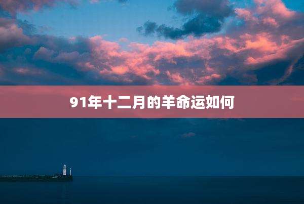 91年十二月的羊命运如何