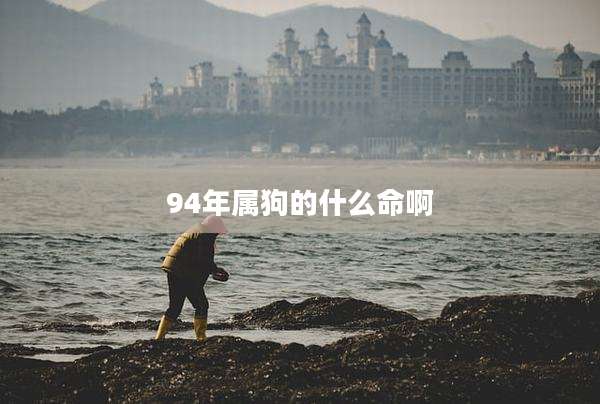 94年属狗的什么命啊